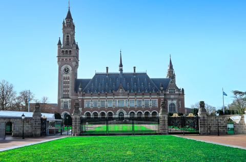 View of the Peace Palace